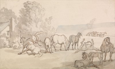 Stuten und Fohlen auf einer Wiese von Thomas Rowlandson